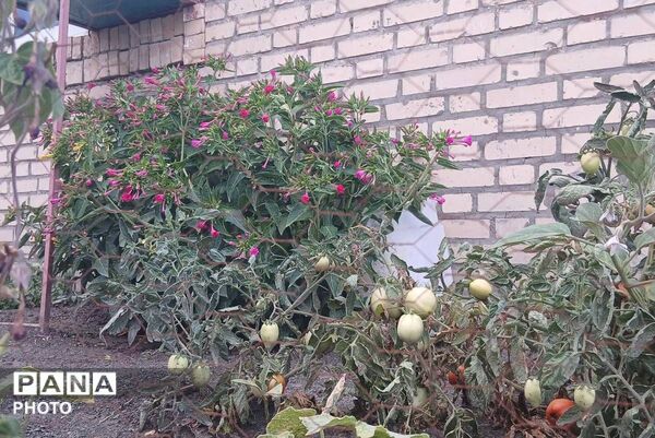 باران شدید در روستای مرزی قَتلیش