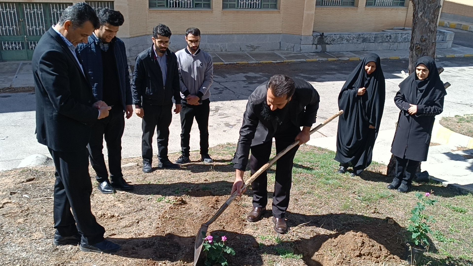 پویش «به یاد سرو، به نام ایران» 