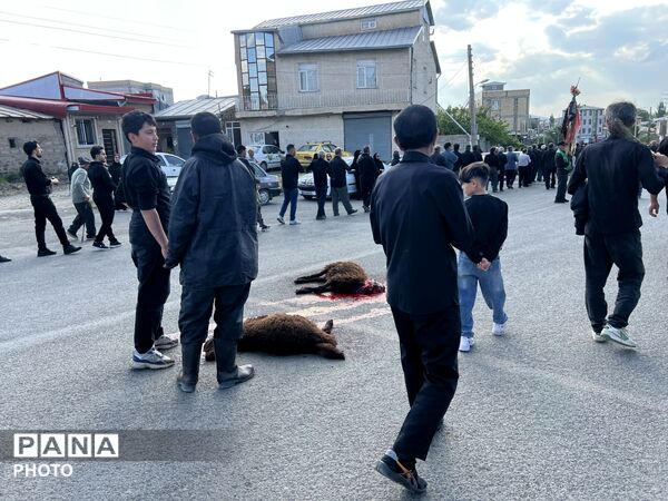 آیین طشت گذاری در روستای خوجین شهرستان خلخال