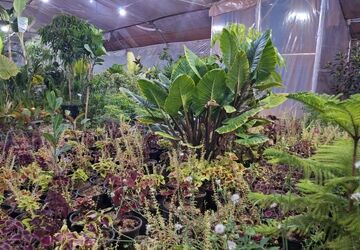  روز ملی گل و گیاه فرصتی برای تماشای زیبایی طبیعت است 