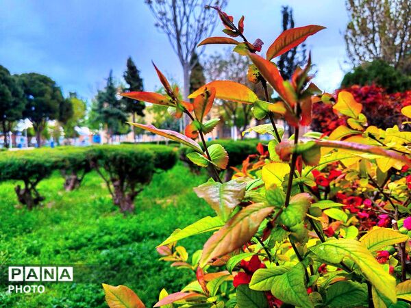 بهار مهمان امامزاده سید حمزه