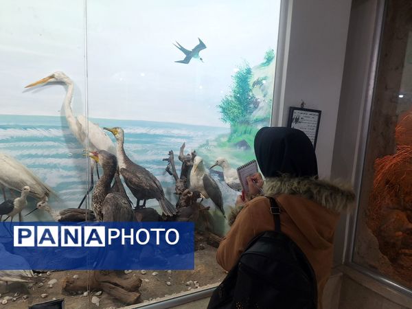 اردوی علمی ،تفریحی دانش آموزان مدرسه مهندس رحمانی فرد در پژوهش سرای علامه طباطبایی