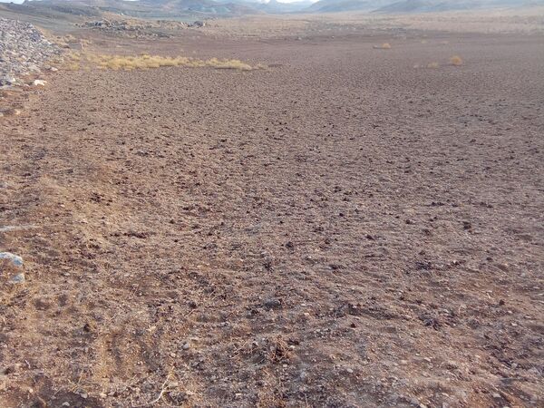 اشک های آخر یک سد در جلگه ای که روزی سبز بود