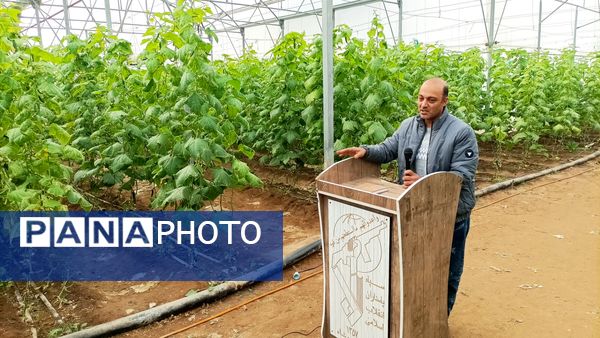 بازدید از گلخانه نمونه خسروشاه در هفته بسیج