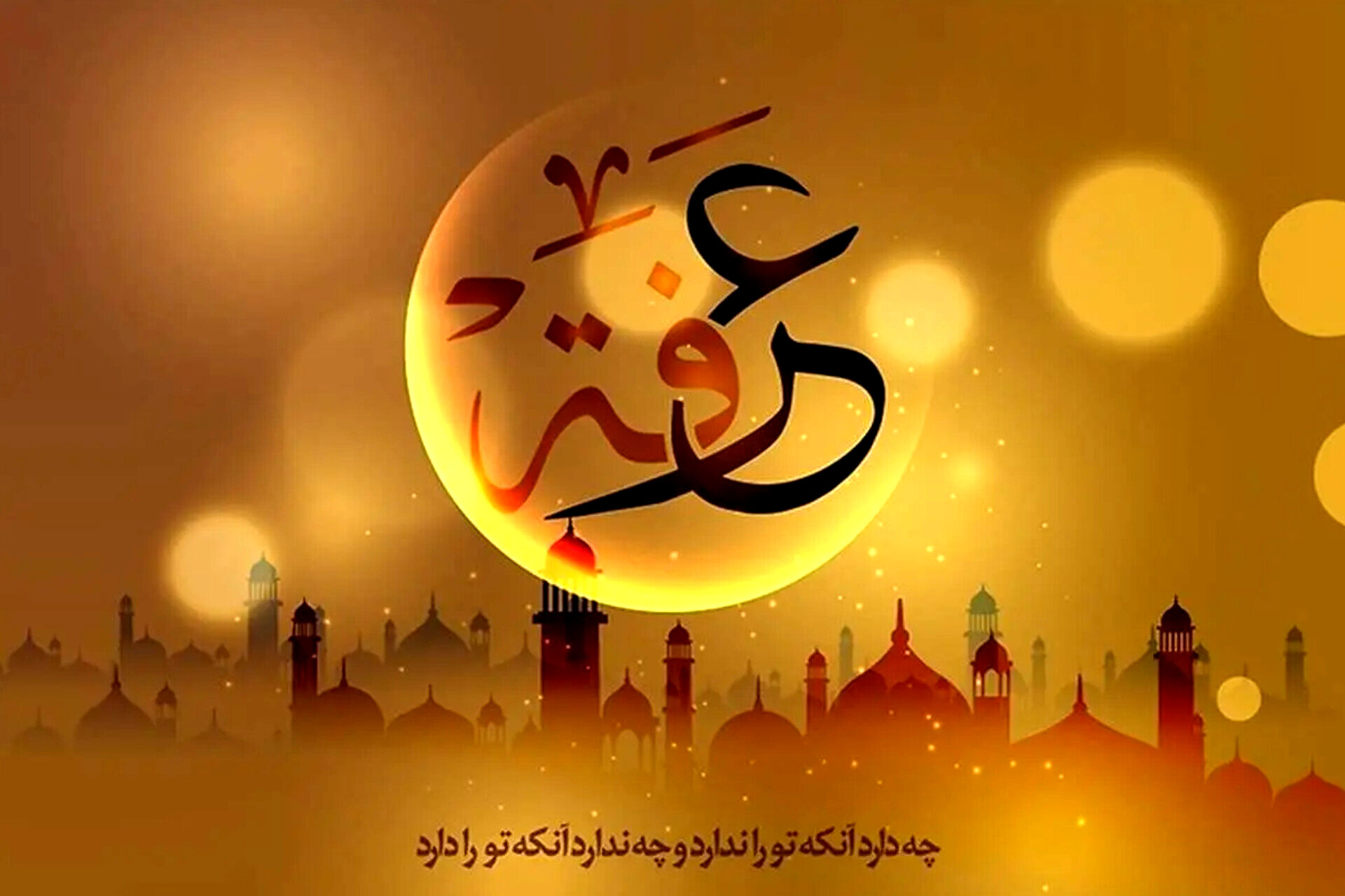 عرفه؛ سجاده‌ای گسترده میان خاک و افلاک