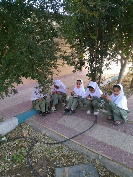 لمس طبیعت با حواس پنج‌گانه، سفری از شناخت تا شکرگزاری در هفته بهداشت روان