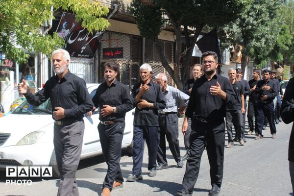 جاماندگان اربعین در ملکان؛ هم‌قدمی با کاروان عشق حسینی