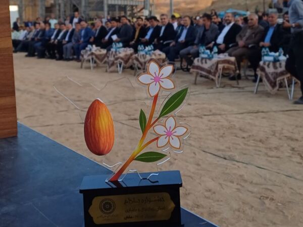 شکوفایی طعم و فرهنگ در سامان؛ دومین جشنواره بادام و گردو 