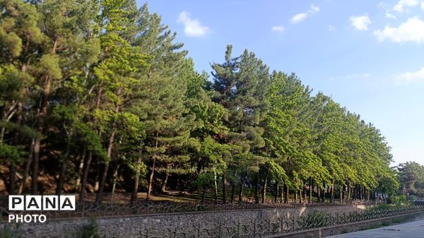 پویش امدادی سلامت در اردوگاه باغرود وارد دومین روز شد