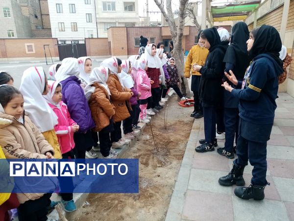 زینت بخشی مدارس شهرستان قدس با کاشت نهال های جوان