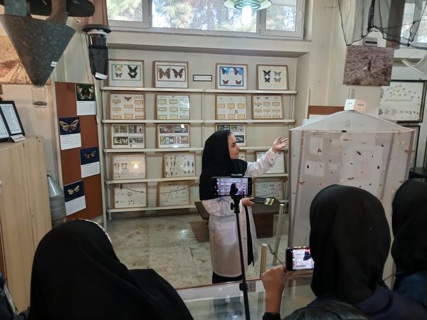 کنجکاوی پانایی ها در کشف اسرار کشاورزی و دامپروری 