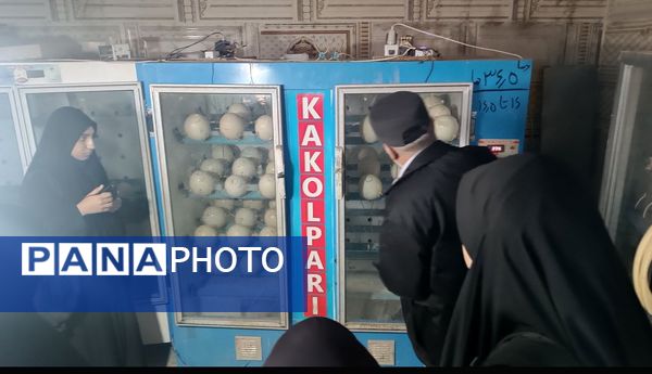 اردو راهیان پیشرفت در خلیل آباد