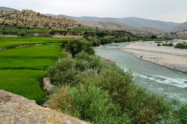 نجوای ارمند؛ سمفونی طبیعت در آبچنار
