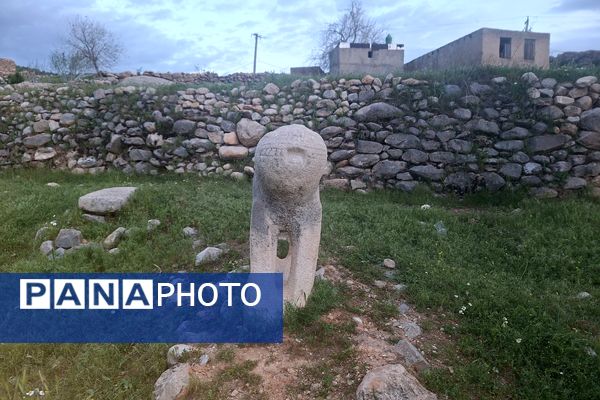 قبرستانی تاریخی و سرسبز به قدمت چند صد ساله در فارس