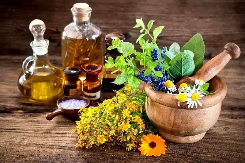فارس قطب تولید گیاهان دارویی کشور

