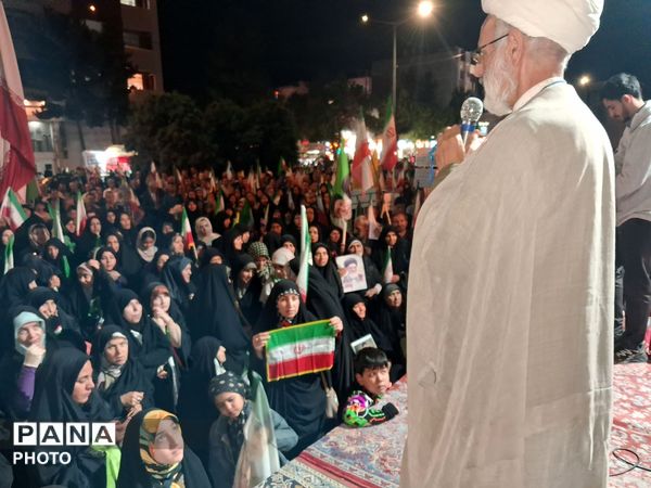  پلاکارد ها و پرچم ها فانوس راه حق 