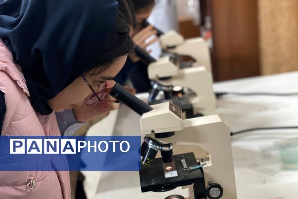 گامی در مسیر کشف حقیقت