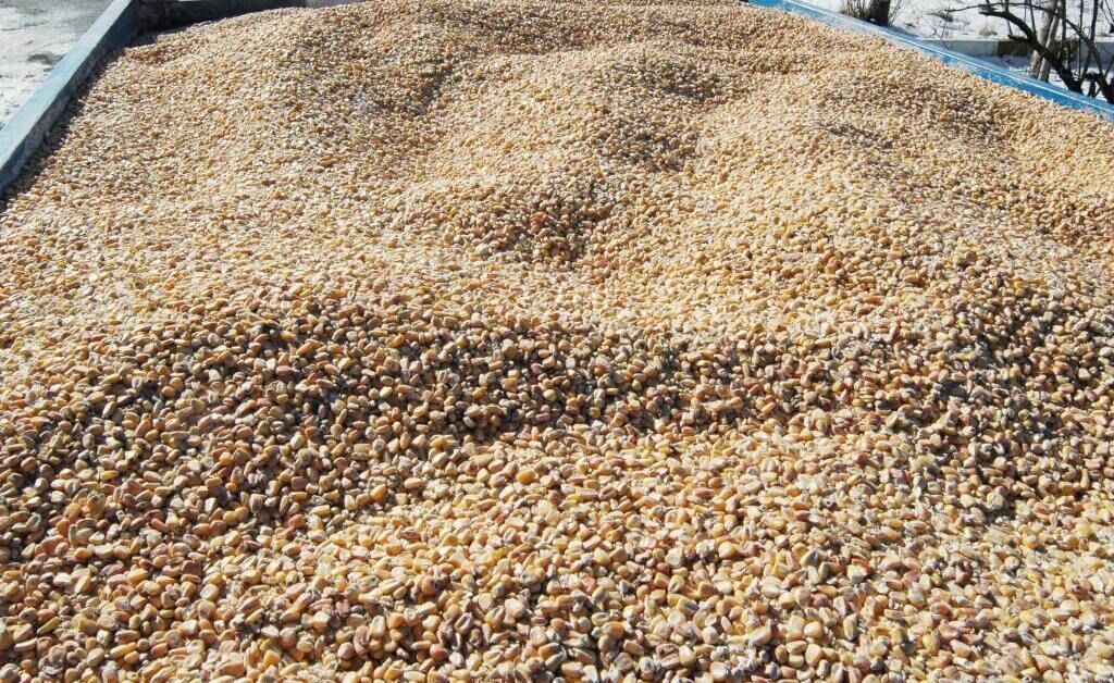ارسال ۲ میلیون تن نهاده دامی به استان‌ها در سال گذشته