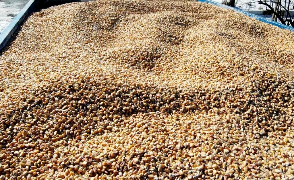 ارسال ۲ میلیون تن نهاده دامی به استان‌ها در سال گذشته