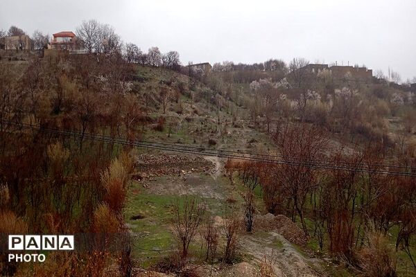  بارش باران در شهر بار 