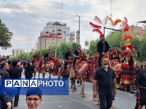 استقبال عزاداران حسینی از کاروان نمادین اسرای کربلا در قم
