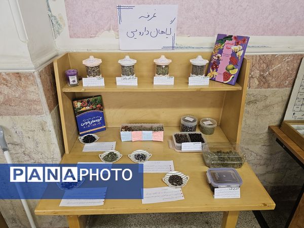 برپایی نمایشگاه علمی- پژوهشی و فرهنگی-هنری توسط دانش آموزان رشته علوم تجربی 