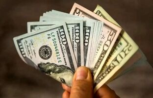 بازار ارز فقط از سیاست‌های دولت نشأت نمی‌گیرد