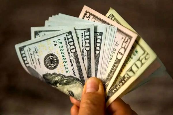 اصلاحات ارزی تصمیمی اجتناب‌ناپذیر بوده است