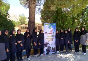 چهار حرف معنادار در تمشک