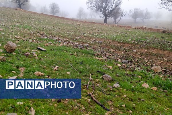 میانکوه سال ۱۴۰۴ خود را متفاوت شروع کرد