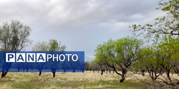 هنر در طبیعت نهفته است