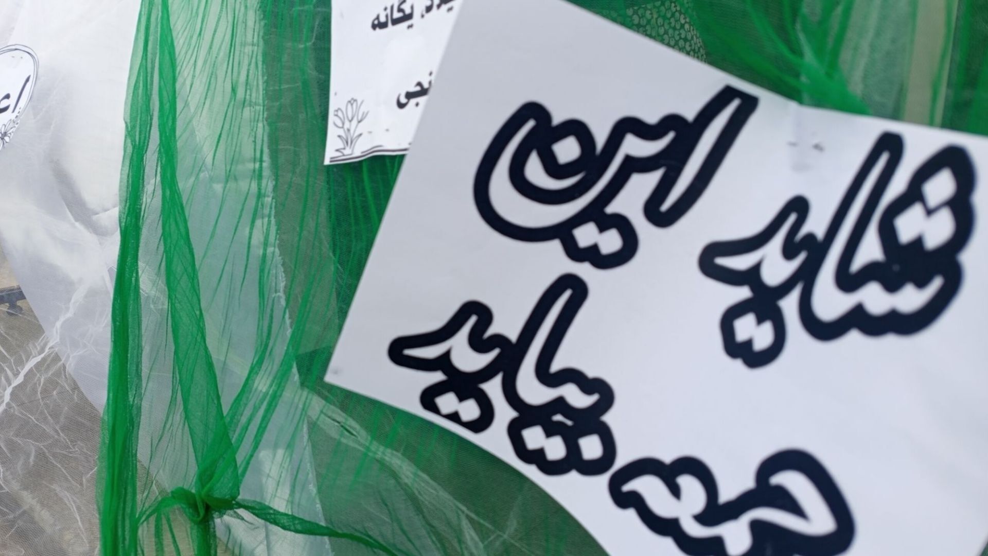 جشن میلاد مهدوی در دبیرستان آناخاتون