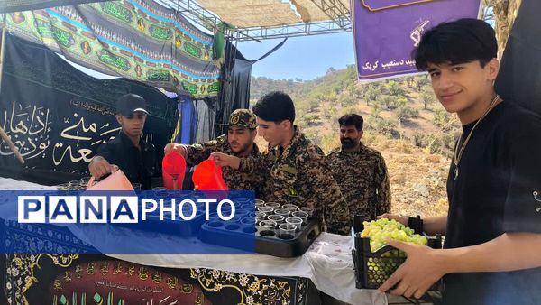 پیاده‌روی حرم تا حرم جاماندگان اربعین 