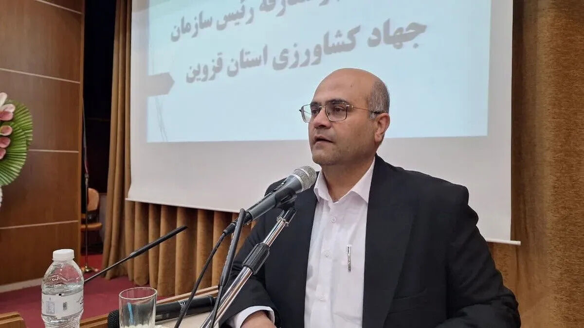 پیش بینی برداشت ۳۷۰ هزار تن انگور در استان قزوین