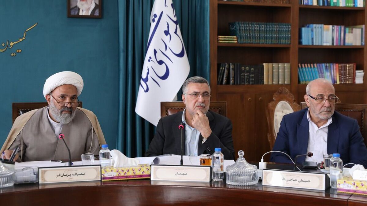 پژمانفر: طرح توزیع دارو از طریق پلتفرم‌ها تا یک ماه آینده اجرا خواهد شد