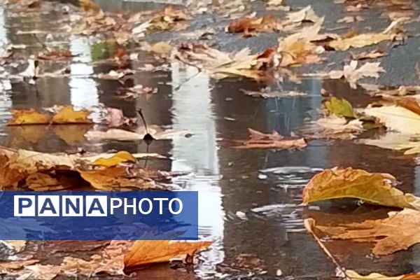 جلوه هایی از باران پاییزی در کاشمر