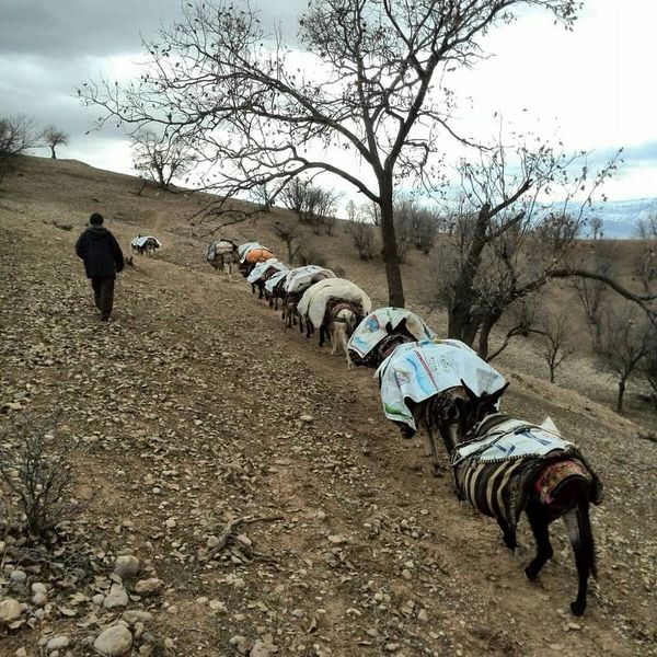  سرزمین عشق در دل سختی‌ها
