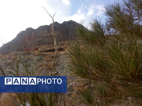 آرامگاه امامزاده سید سلطان حقیق نگین معنوی جلگه رخ 