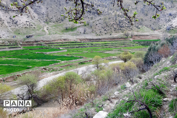 طبیعت روستای بیدله به هنگام بهار