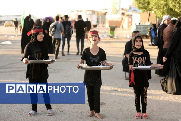 میلیون‌ها گام عاشقی؛ روایت حماسه اربعین حسینی از نجف تا کربلا