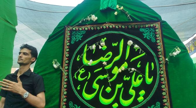 طنین «یا رضا» در آیین نخل برداری زارچ