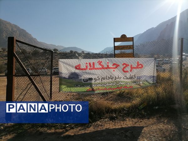 باهمت سبز، آبی شود آسمان شهرمان 