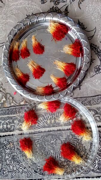 فدافن روستایی که زعفرانش با تشنگی خاک قصه‌ای تلخ نوشت