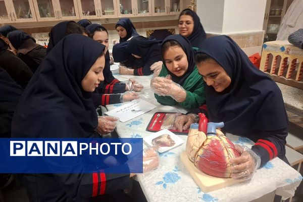 کارگاه تشریح قلب برای دانش آموزان فرزانگان شهرستان ملارد