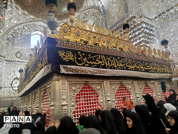 از حریمِ علی تا خلوتِ سامرا؛ عطرِ بهشت در عراق 