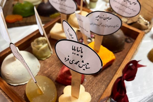 پایان کار نمایشگاه گیاهان دارویی پژوهش‌سرای کاوش کهریزک 