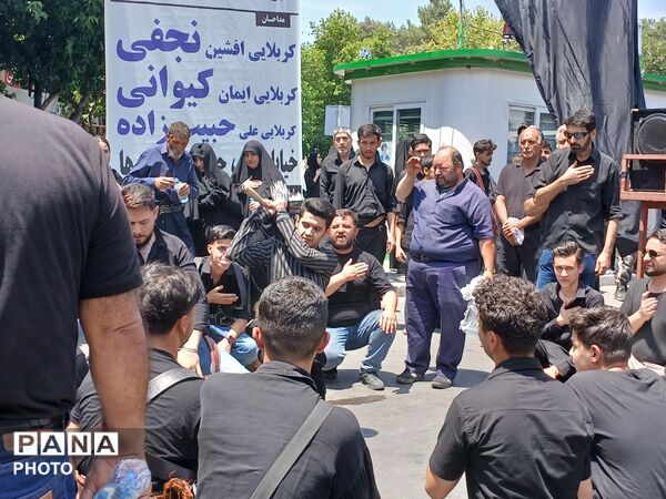 عاشورا؛ روایت دلدادگی در قاب اشک و ارادت 