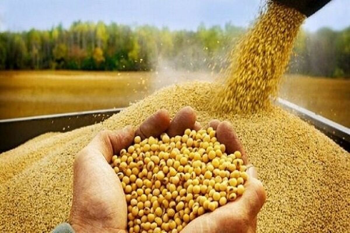 بحران نهاده‌های دامی و ورود سازمان بازرسی