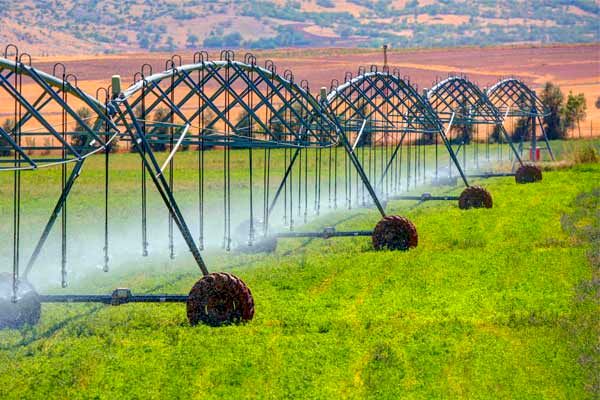 وجود  ۱۷ میلیون و ۳۷۹ هزار هکتار اراضی کشاورزی در گشور