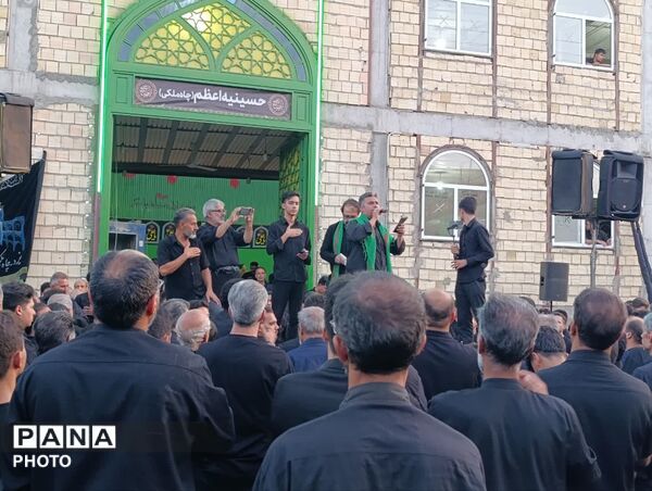 زمزمه‌ های سوگ در کوچه‌های خشتی؛ وقتی نخل چاه‌ ملکی به یاد حسین (ع) برمی‌خیزد